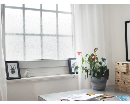 Okno s okennou fóliou s rastlinným vzorom, dekorácia a izbová rastlina