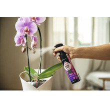 Lesk na listy Lechuza Perfect Orchid Gloss sprej 225 ml