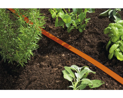 Záhradný záhon s bylinkami a zavlažovacou hadicou