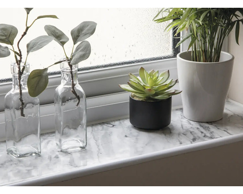 Dekoratívne izbové rastliny na okennom parapete