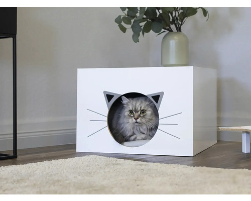 Mačka v mačacom dome s dizajnom mačacej tváre