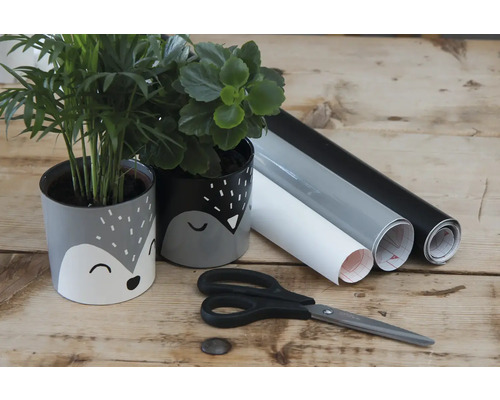 Dva osadené kvetináče s dekoračnou fóliou, nožnice a tri role dekoračnej fólie na stole.