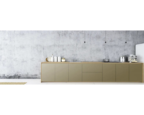 Moderná kuchyňa s kuchynskou linkou, drezom a spotrebičmi pred betónovou stenou