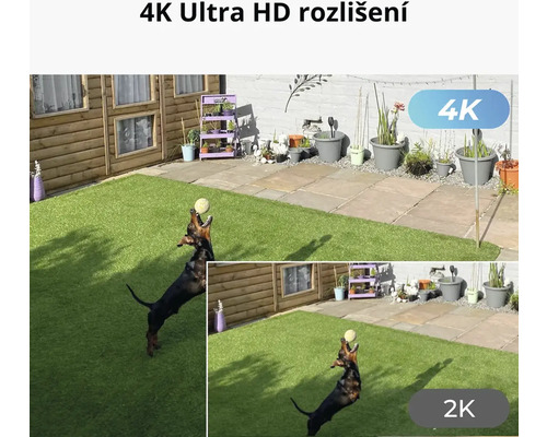 Scéna záhrady so psom chytajúcim loptu, zobrazená v rozlíšení 4K Ultra HD a 2K.