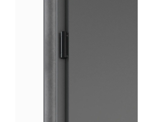 Detail dverí s pántom