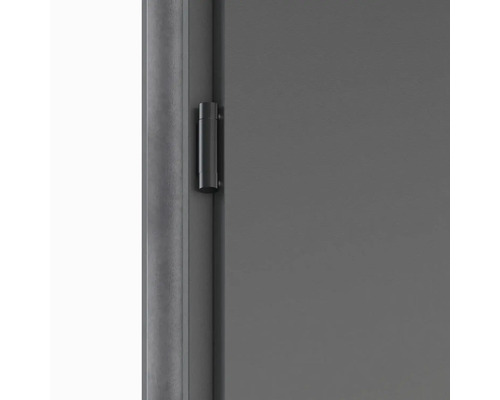 Detail dverí s pántom