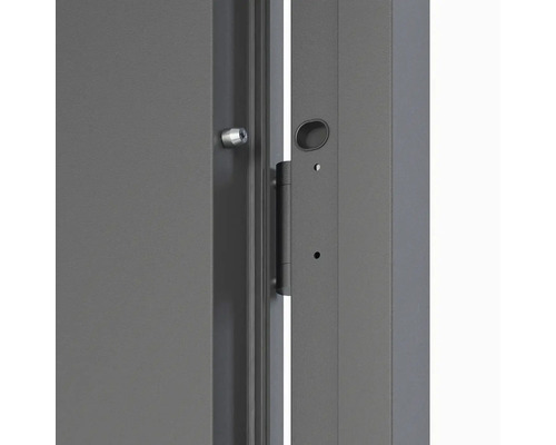 Detail dverí s pántom a zámkom