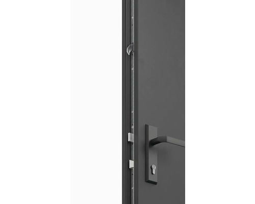 Detail sivých vchodových dverí s viacbodovým zamykaním a kľučkou.