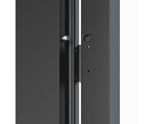 Detail otvorených dverí s kovaním