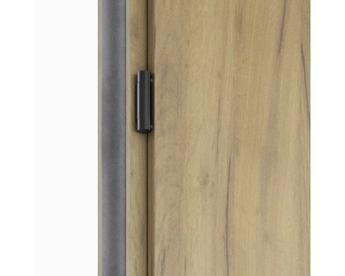 Detail dverí s pántom