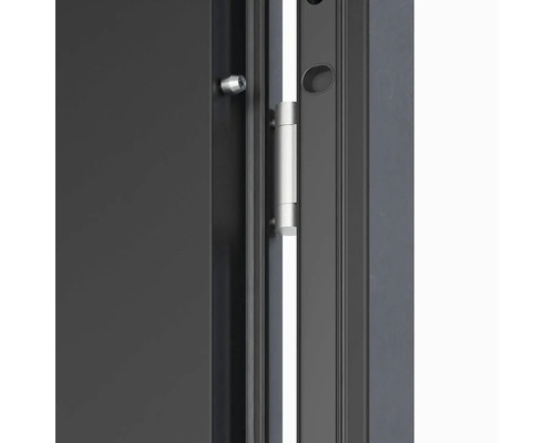 Detail dverí s pántom a cylindrickou vložkou