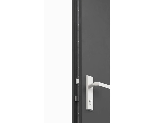 Detailný pohľad na dvere s kovaním a zamykacím mechanizmom