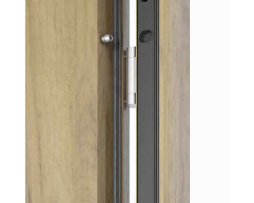 Detail dverí so závesom a uzatváracou skrutkou