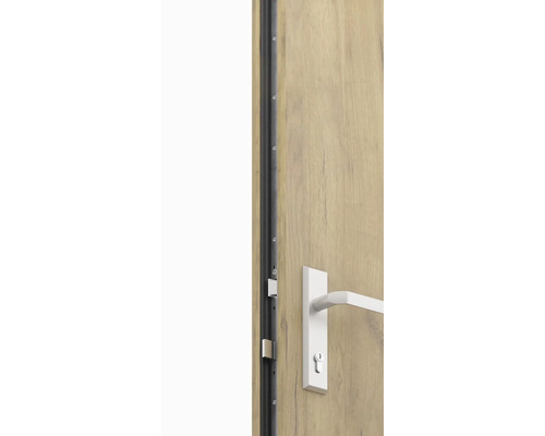 Detail interiérových dverí s kovaním a tesniacim profilom