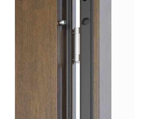 Detail dverí s kovaním a pántmi