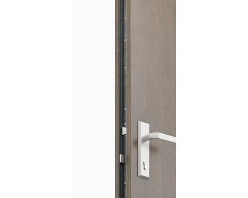 Pohľad na dvere s tesniacim profilom a dverovým kovaním