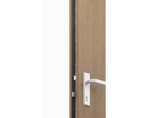 Detail interiérových dverí s kovaním a protiplechom