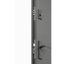 Detail vstupných dverí s viacbodovým zamykaním a kovaním