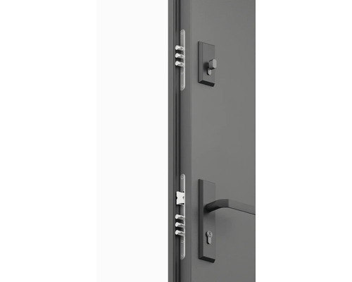 Detail vstupných dverí s viacbodovým zamykaním a kovaním