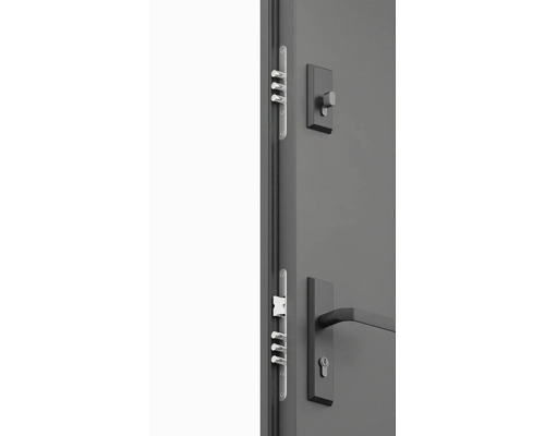 Detail dverí s viacbodovým zámkom a kovaním