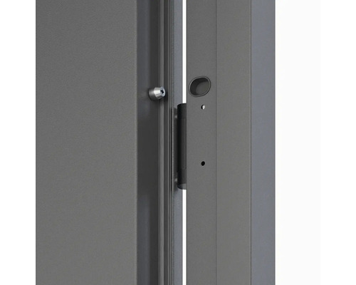 Detailný pohľad na sivé dvere so zámkom a kovaním