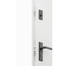 Dvere s kovaním a viacbodovým zamykaním