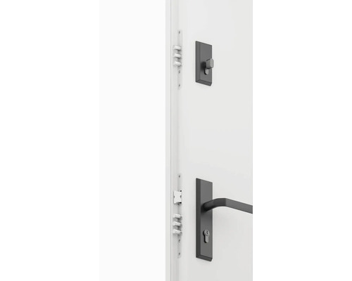 Dvere s kovaním a viacbodovým zamykaním