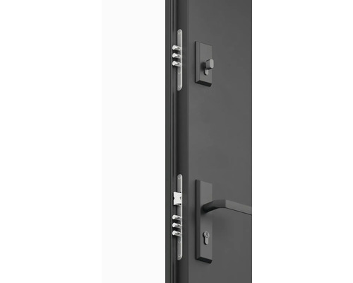 Detail dverí s kovaním a viacbodovým zamykaním