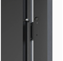 Detail dverí so zámkom a pántom