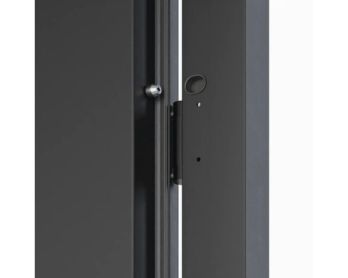 Detail dverí so zámkom a pántom