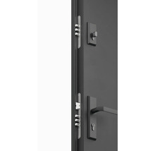 Detailný pohľad na dvere s kovaním a zámkom