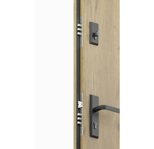 Detailný záber vchodových dverí so zámkom a kovaním