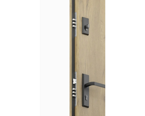 Detailný záber vchodových dverí so zámkom a kovaním