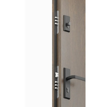 Detailný pohľad na dvere odolné proti vlámaniu so zámkom a kovaním