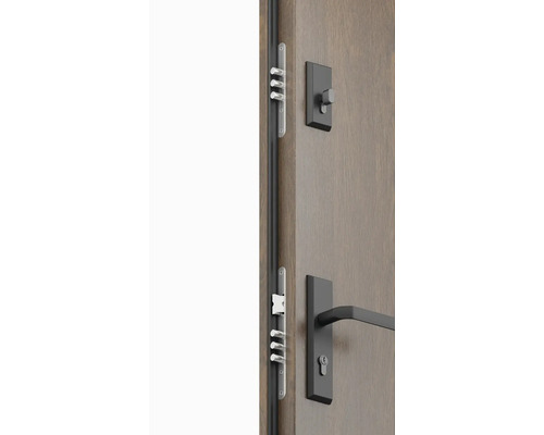 Detailný pohľad na dvere odolné proti vlámaniu so zámkom a kovaním