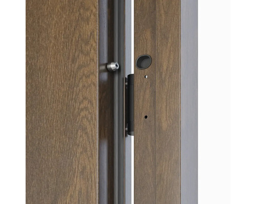 Detail dverí s kovaním