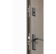 Detailný pohľad na vchodové dvere s viacbodovým zamykaním a kovaním