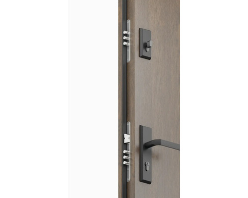 Detailný pohľad na vchodové dvere s viacbodovým zamykaním a kovaním