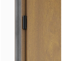 Detail dverí s kovaním