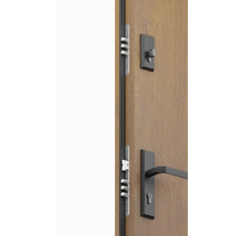 Detailný pohľad na vchodové dvere s bezpečnostným kovaním a viacbodovým zamykaním