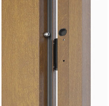 Detailný pohľad na dvere s kovaním a rámom