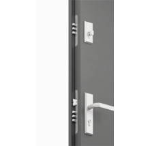 Dvere s viacbodovým zamykaním, kľučka a otočný gombík