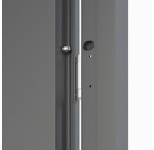 Detail dverí so zámkom a kovaním