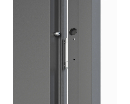 Detail dverí so zámkom a kovaním