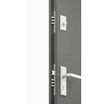 Detail sivých dverí s kovaním a viacbodovým zámkom