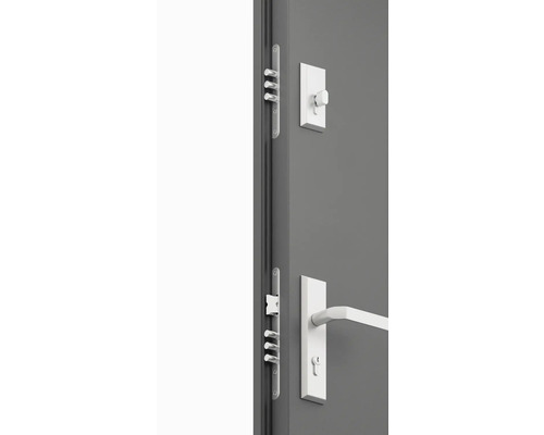 Detail sivých dverí s kovaním a viacbodovým zámkom