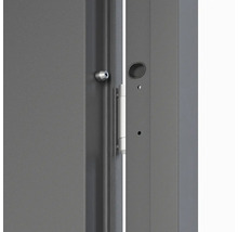 Detail dverí so zámkovou vložkou a kovaním