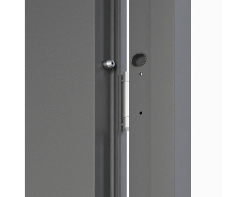 Detail dverí so zámkovou vložkou a kovaním