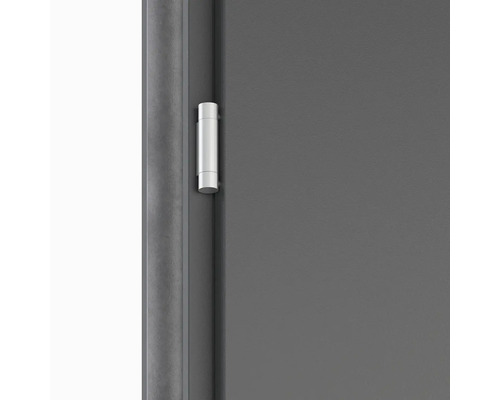 Detail dverí s pántom