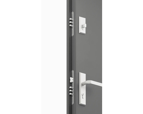 Detail dverí s viacbodovým zámkom a kľučkou